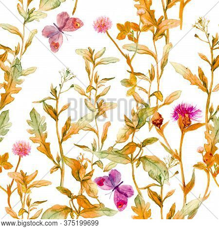 Autumn Meadow, Prairie. Floral Sprigs, Flowers. Vintage Seamless Spacial Pattern. Watercolor
