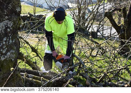 Worker In The Garden With A Chainsaw.