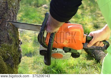 Worker In The Garden With A Chainsaw. Concept: Spring Garden Work.