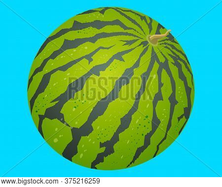 Bright Vector Image Of Colorful Juice Watermelon. Fresh Cartoon Berry Isolated On Blue Background.