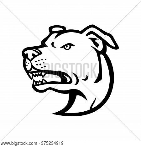 Black And White Illustration Of Head Of An Angry American Staffordshire Terrier Or Amstaff, A Medium