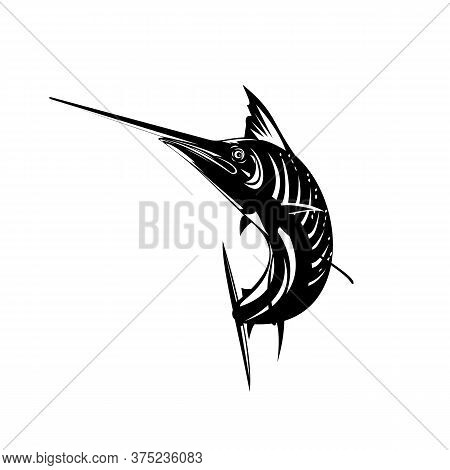 Retro Woodcut Style Illustration Of An Atlantic Sailfish, A Fish Of The Genus Istiophorus Of Billfis