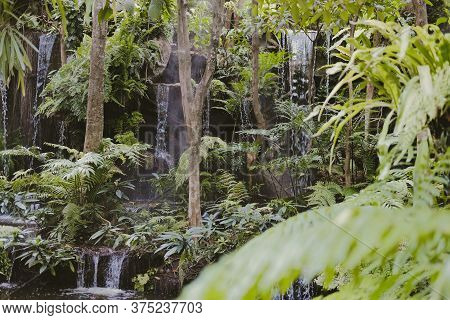 Watefall & Pond Plant Tree In Garden Park