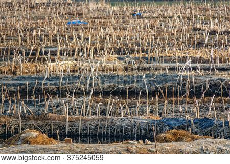 Closeup Of Saltmine Ponds With Shallow Depth Of Field