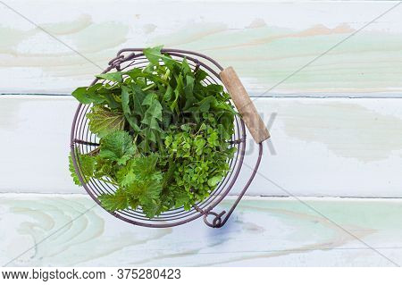 Wild Green Herbs For The Manufacture Of Natural Remedies