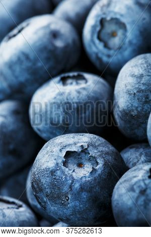 Blueberries Close-up In Full Screen With Dew Drops.