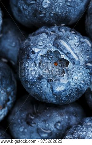 Blueberries Close-up In Full Screen With Dew Drops.