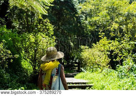 traveling Asian woman hiking in the forest at Xitou, Nantou, Taiwan