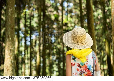 traveling Asian woman hiking in the forest at Xitou, Nantou, Taiwan