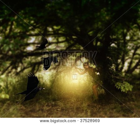 une fille avec une lanterne derrière un arbre, je regarde les oiseaux mouche
