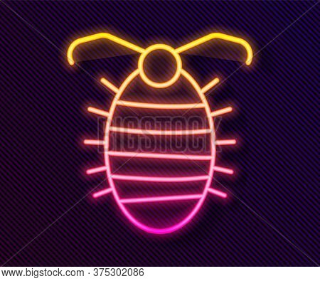 Glowing Neon Line Larva Insect Icon Isolated On Black Background. Vector