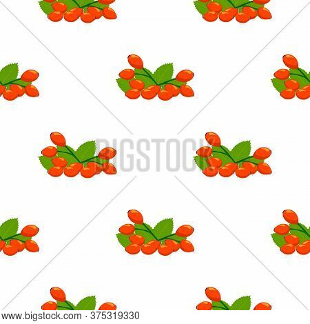 Illustration On Theme Big Colored Seamless Rose Hip, Bright Berry Pattern For Seal. Berry Pattern Co
