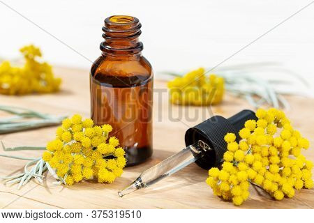 Helichrysum Essential Oil In Amber Bottle And Pipette. Herbal Remedies Oil