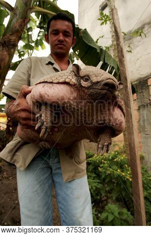 Eunapolis, Bahia / Brazil - December 1, 2009: Armadillo Peba Weighing 16 Kg Is Seen In The Hands Of 