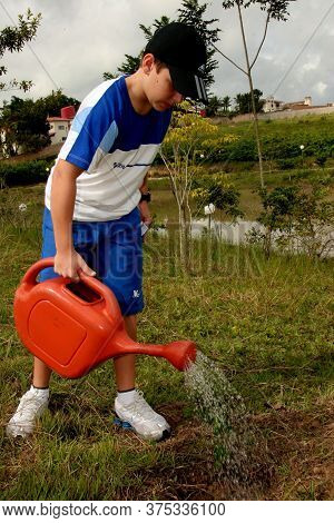 Eunpolis, Bahia Brazil - June 19, 2009: Child Is Seen Using Watering Can To Water Plant In The City 