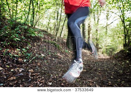 Male trail runner running in the forest on a trail. Red shirt and black pants. Summer season. Slight blur in runner to show motion. Horizontal composition.