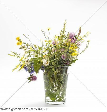 Wild Field Herbs In Bottles Of Different Shapes On A White-gray Background As A Decoration. Card