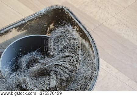 Vacuum Cleaner Container With Garbage. A Plastic Waste Container Full Of Dust And Wool. Cleaning Ser