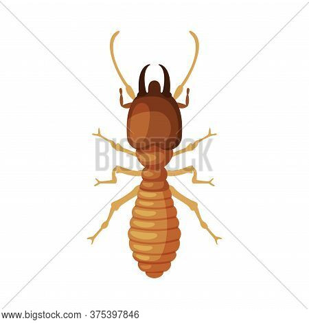 Termite Harmful Insect, Pest Control And Extermination Concept Vector Illustration On White Backgrou