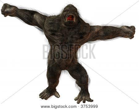 Silverback gorila