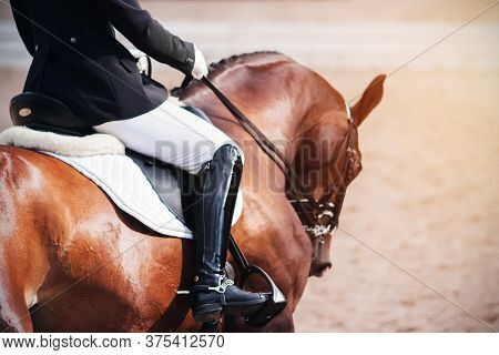 Back View Of A Rider In Leather Boots Sitting In The Saddle On A Bay Racehorse And Galloping, Illumi