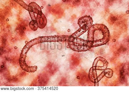 Microscopic view of the ebola virus, 3d illustration
