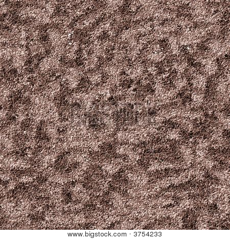 Washed Out Seaweed Nodules - Cg Texture