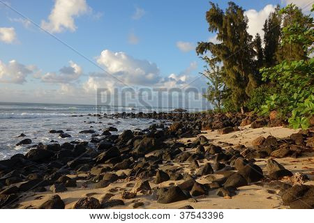 Severní pobřeží Oahu