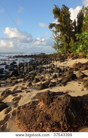 Severní pobřeží Oahu