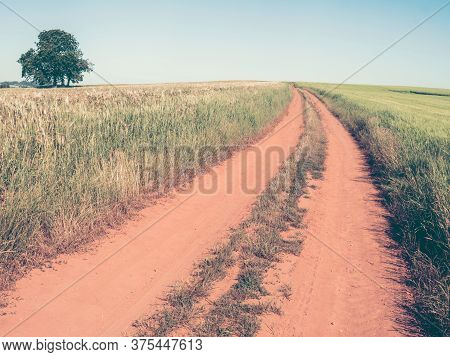 Country Road In Fields, Agricultural Landscape. Red Soil Fields Around Nova Paka, Czech Republic.
