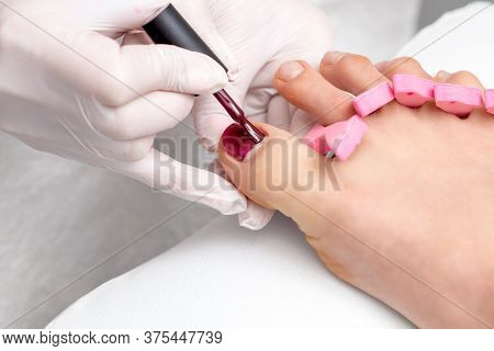 Hands In Protective Gloves Painting Red Nail Polish On Female Toenail In Beauty Salon
