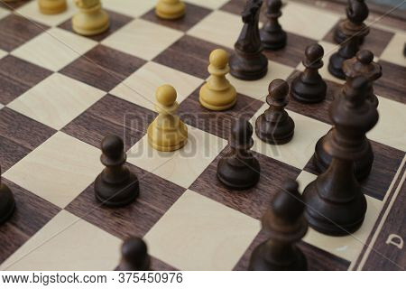 Chess Pieces On The Board. Wooden Chess Pieces On The Chessboard.