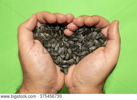 Sunflower Seeds In Mans Hands Forming Heart Shape On Green Background. Top View. Black Tasty Sunflow
