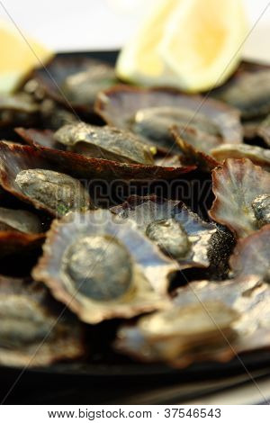 Patelle alla griglia
