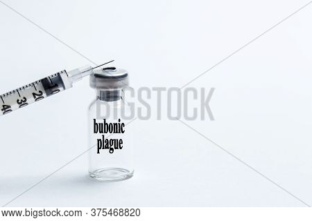 Bubonic Plague Vaccine With A Syringe On A White Background. The Inscription On The Vaccine Bubonic 