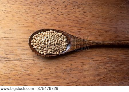 Coriander Seed, Spices, In Wooden Spoon On Rustic Wood Table Background, Copy Space
