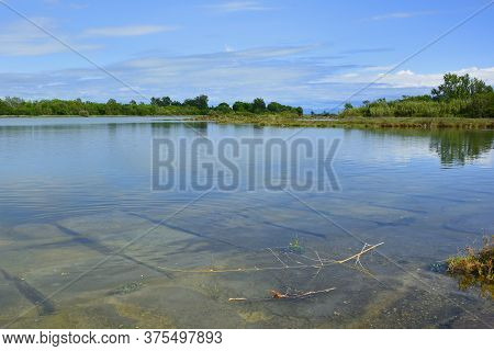 The Wetlands Of Isola Della Cona In Friuli-venezia Giulia, North East Italy