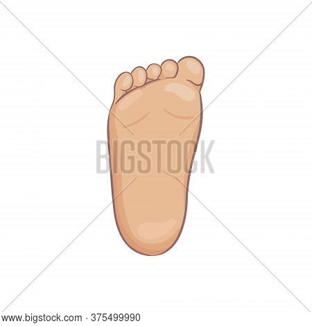 Newborn Baby Foot Sole, Bottom View. Tiny Plump Foot With Cute Heel And Toes. Realistic Caucasian Sk