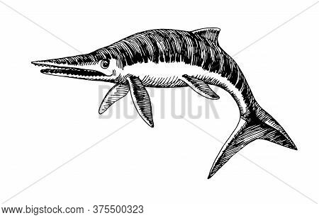 Prehistoric Reptile Of The Jurassic Period, Giant Ichthyosaur With Fins, Sea Raptor, Vector Illustra