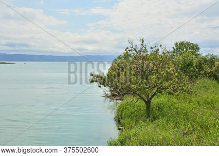 The Wetlands Of Isola Della Cona In Friuli-venezia Giulia, North East Italy