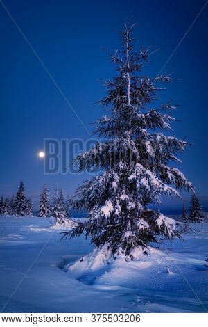 Moon Rise In The Night Scene During Winter  In Marisel, Cluj County, Transylvania Region, Romania