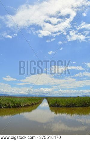 The Wetlands Of Isola Della Cona In Friuli-venezia Giulia, North East Italy