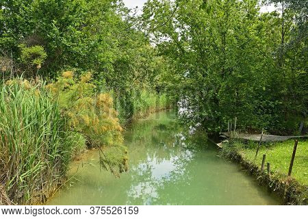 The Wetlands Of Isola Della Cona In Friuli-venezia Giulia, North East Italy