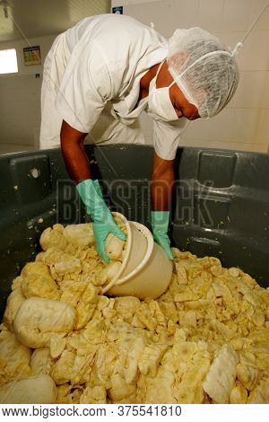 Porto Seguro, Bahia / Brazil - October 15, 2010: Production Of Cupuacu Pulp In Industry In Porto Seg