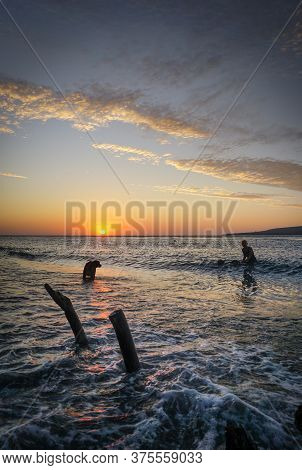 Banyuwangi, Indonesia - July 04, 2020 : A Woman Playing With The Dogs At Watudodol Beach Banyuwangi 