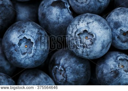 Blueberries Close-up In Full Screen With Dew Drops.