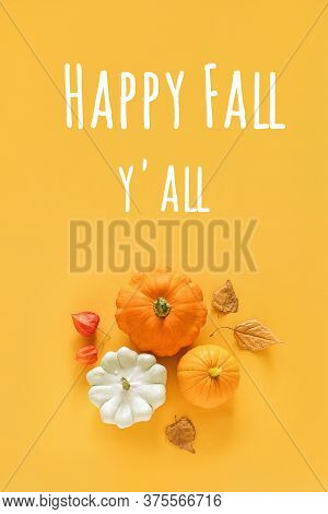 Happy Fall Yall Text And Fall Composition Made From Pattison, Squash, Pumpkin And Yellow Leaves Herb