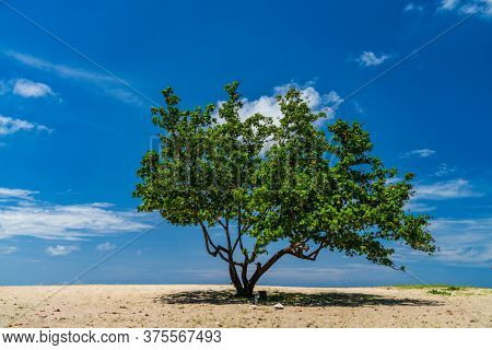 Jerman beach in Bali indonesia