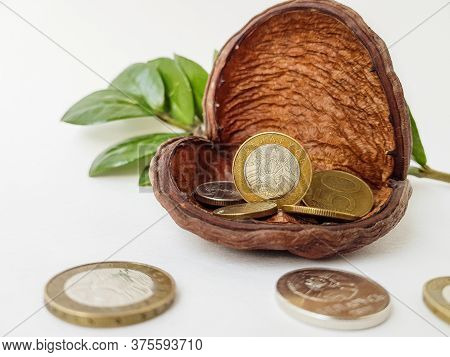Belarusian Coins Are Scattered Near The Dryflower On A White Background.