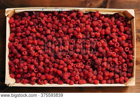 A Wooden Box With Ripe Raspberry Berries. The Texture And Background Of A Large Amount Of Raspberrie